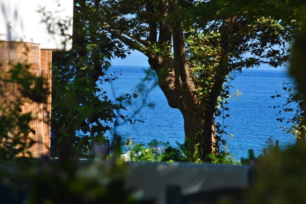 Archondissa Beach Aparthotel Therma  Eksteriør billede